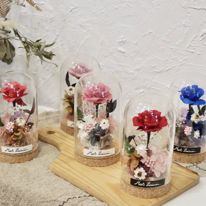 [Meet Eternal] Little Prince Immortal Flower Small Glass Cover/Wedding Small Thing A total of 6 cards with box - Dried Flowers & Bouquets - Plants & Flowers 
