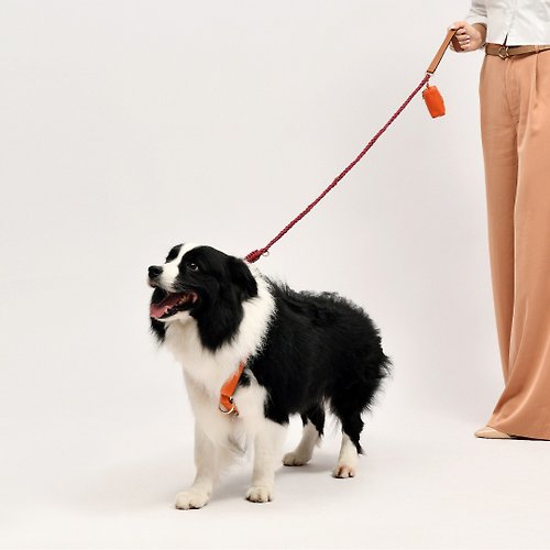 Furri Tail - 專為毛孩設計的時尚寵物品牌 FT 經典系列: 真皮手工製項圈尊貴組合 (一套四件)