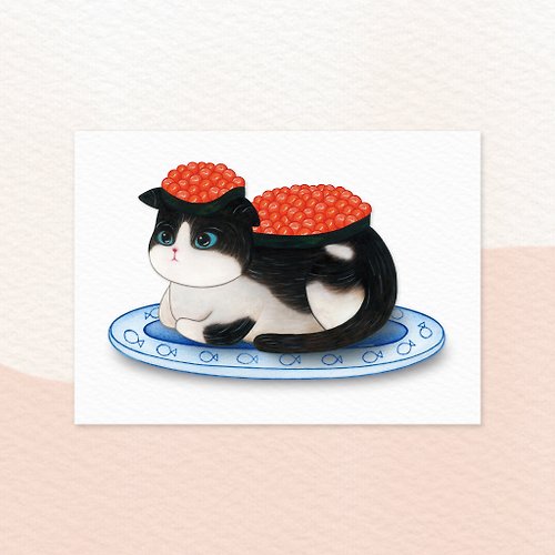 COCO. Lab 喵咪壽司 - 鮭魚卵賓士貓