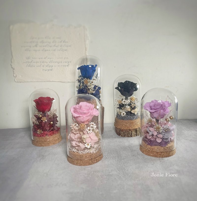 永生玫瑰小玻璃罩 - 乾燥花/永生花 - 玻璃 多色