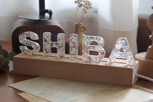 蒔嚐花藝 shibashibaflorist | 客製化禮物 | - 雪女 - LED 乾燥花字母小夜燈 (三段式調光)