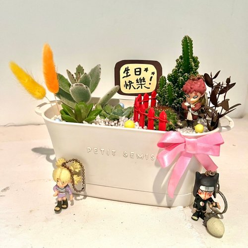 その他観葉植物 NORUTO 500x0.jpg