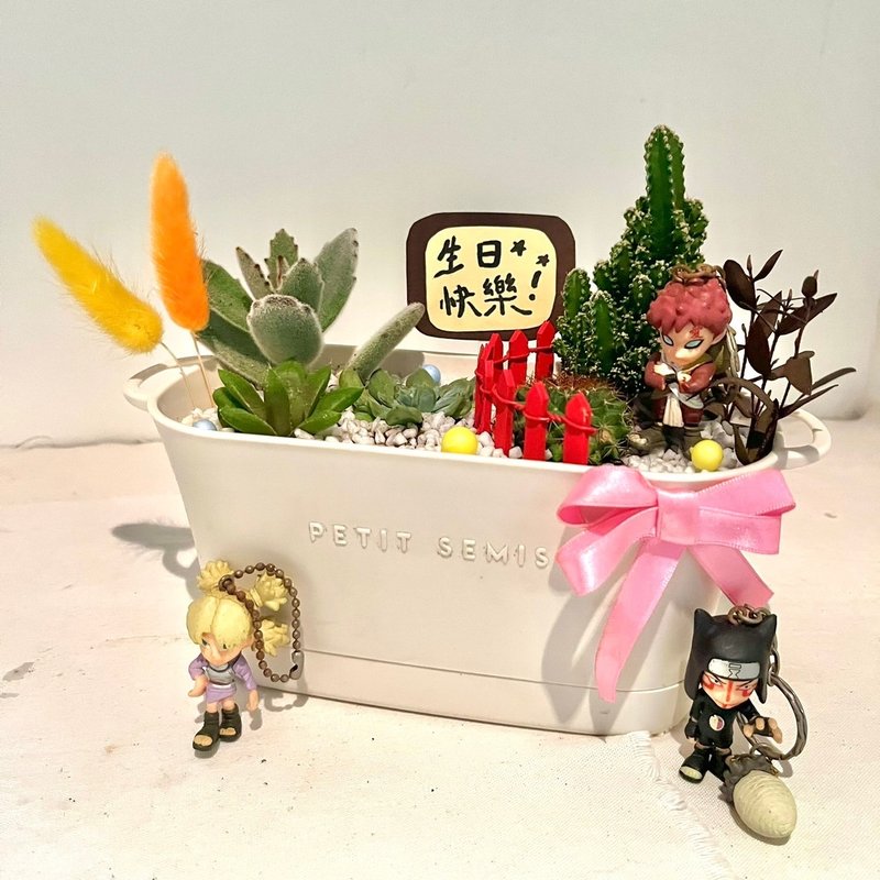 Naruto Sand Falls Gaara succulent group pot micro landscape potted succulent potted plant birthday gift - Plants - Plants & Flowers Green