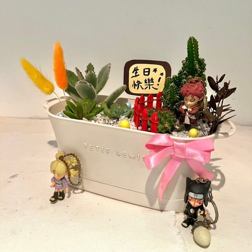 その他観葉植物 NORUTO 500x0.jpg