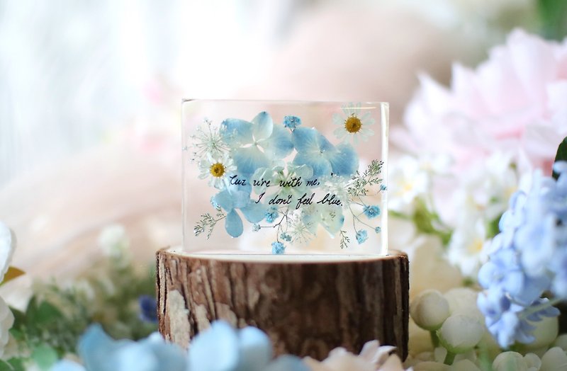 Real flower/three-dimensional dry flower/decoration/paperweight/wedding gift/souvenir/handwritten sentence/text - Items for Display - Other Materials Blue