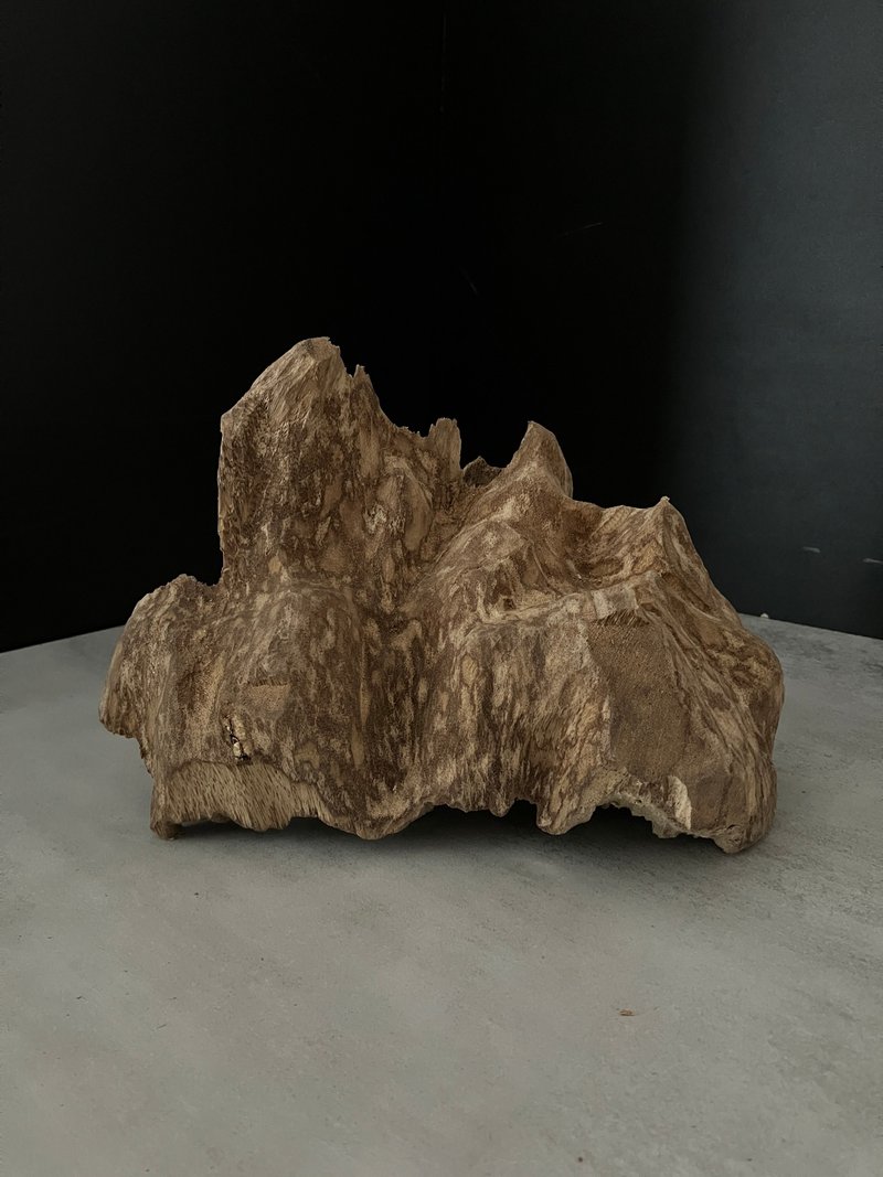 [Daily Use] Wild Kalimantan Agarwood Decor BK13 (330g) - อื่นๆ - ไม้ 