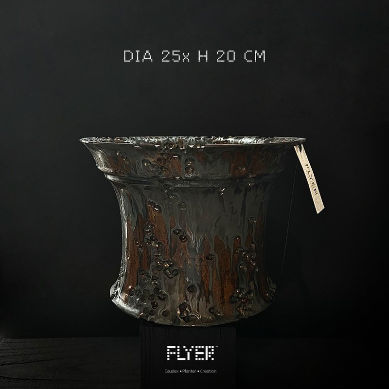 FLYER 塊根多肉植物陶盆器 龍舌蘭象牙宮象足漆樹盆器 - 花瓶/花器 - 陶 