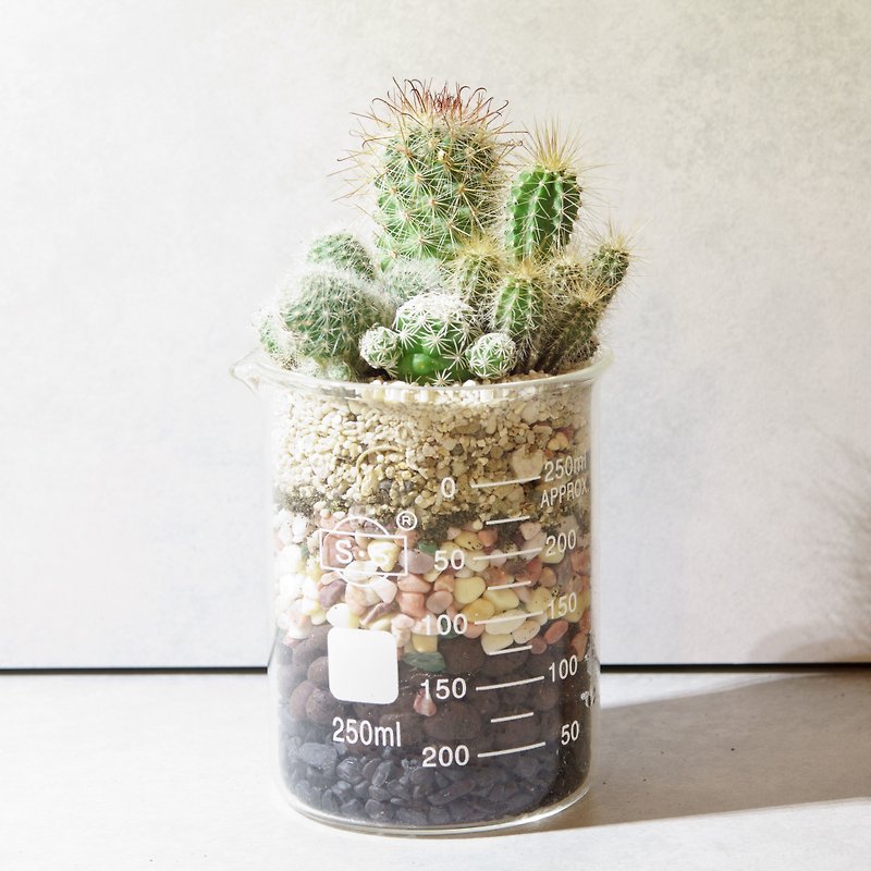 Microscape design-250ml beaker/cactus meat - Plants - Glass Green