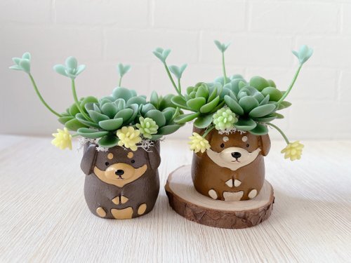 簡單時光．黑貓手作 【模擬黏土多肉植物組盆】淺深咖臘腸犬