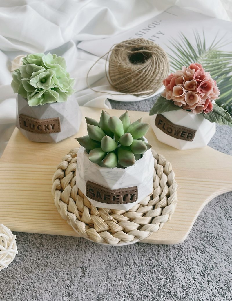 Simulated succulent fragrance spreading small potted fragrance gypsum kneading DIY material package - Candles, Fragrances & Soaps - Other Materials White