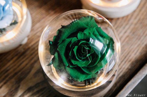 OWN Flower花藝設計 綠玫瑰/花夜燈/永生花玻璃盅/生日禮物/聖誕禮物/永生花禮/不凋花