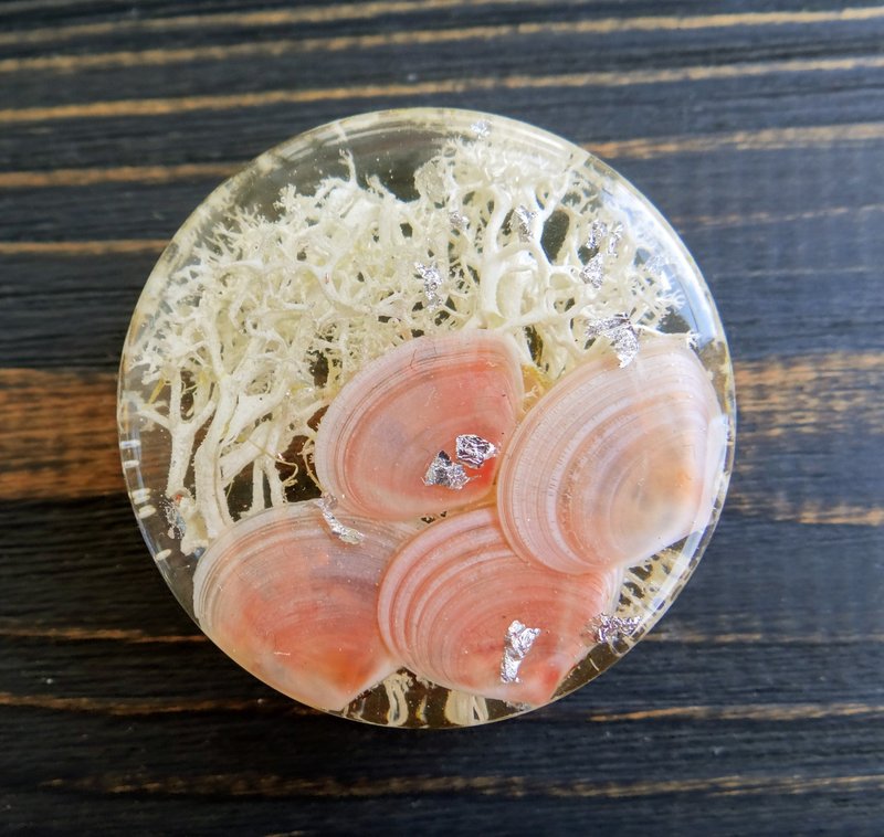 Seashell plug earrings  Salmon pink 00g tunnels gauges jewelry Nautical - 耳環/耳夾/耳骨夾 - 寶石 粉紅色
