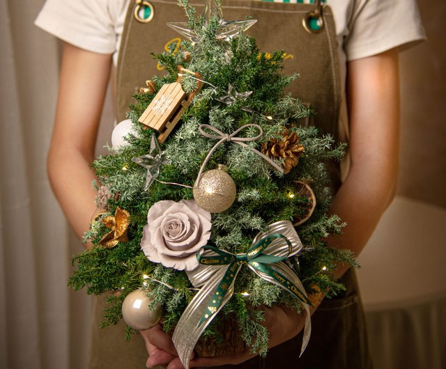 クリスマスギフト6点特盛asa クリスマスギフト6点特盛asa クリスマスツリー オーナメント