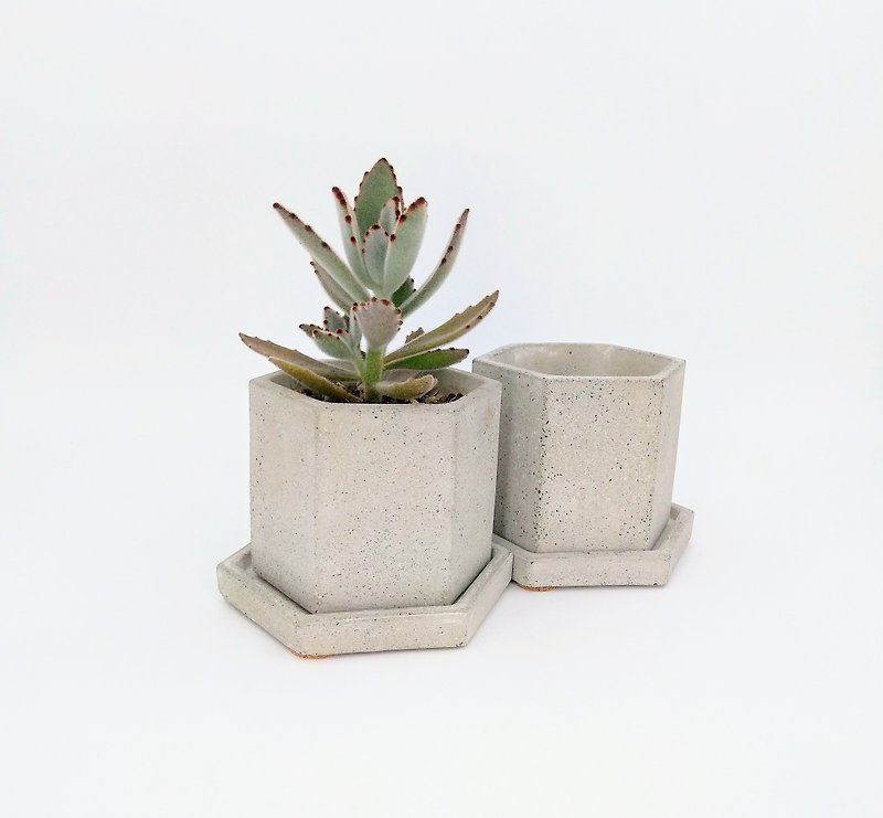 [Hexagonal pot set] Cement flower/ Cement potted plant/ Cement planting (without plants) - Plants - Cement Gray