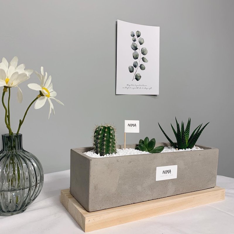 /Peninsula Iron Box/ Succulent Plant Cement Pot - Plants - Cement Gray