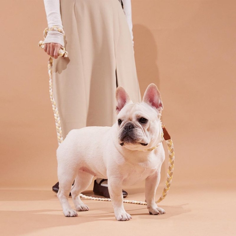 【Pawlaneta】SO:L braided elastic leash - Other - Other Materials 