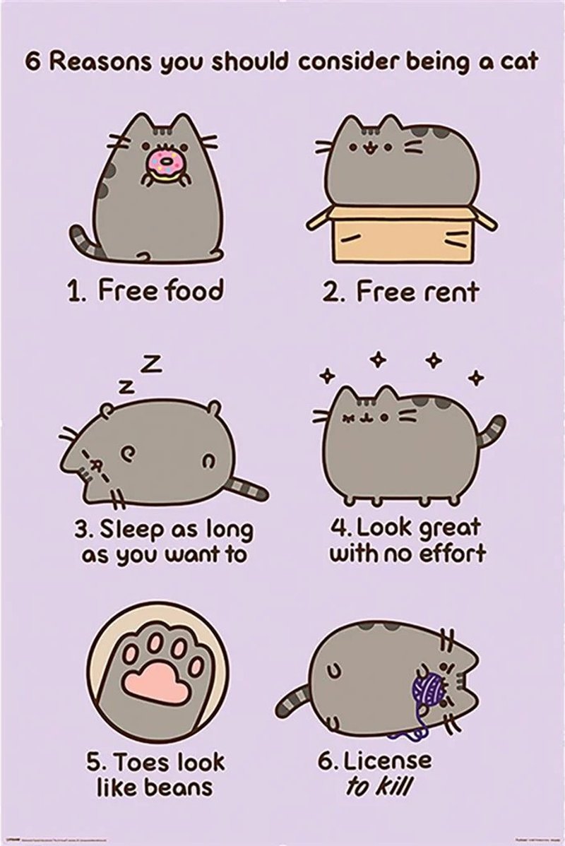 【胖吉貓】可愛的胖吉貓海報(你該當貓的6個原因) / Pusheen - 海報/掛畫/掛布 - 紙 紫色