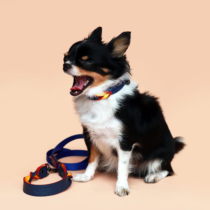 Twist THIN Pet Collar and Leash Set with Name, Lightweight Soft Leather, Dog Cat - 項圈/牽繩 - 真皮 藍色