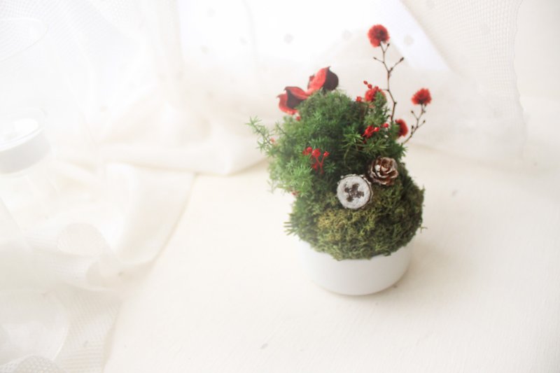 Fairy tale green island mini table flower, island forest dried flower gift - Dried Flowers & Bouquets - Plants & Flowers Green