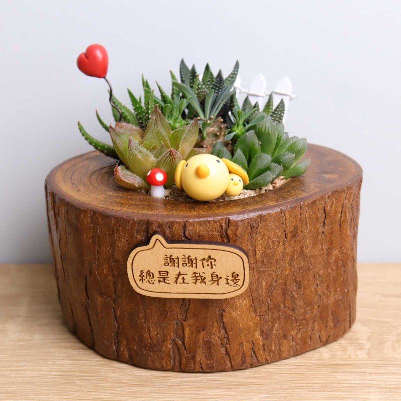 鳥 多肉盆栽 字牌客製 原木頭 婚禮 生日 開幕 送禮 畢業 母親節 - 盆栽/植栽 - 木頭 咖啡色