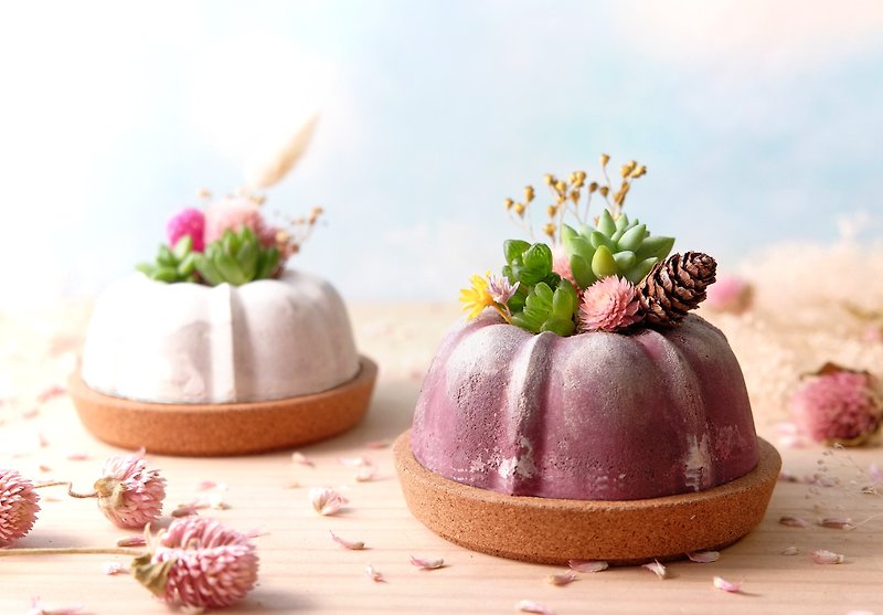 Christmas dried flowers Succulents: cement cake pot 2 in area / Potted plants - Plants - Plants & Flowers Multicolor