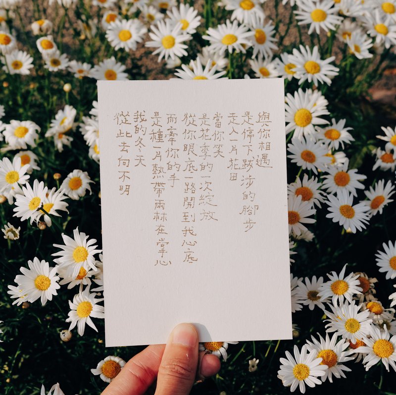 很願意的人。冬天去向不明 文字明信片 青青的島 - 卡片/明信片 - 紙 