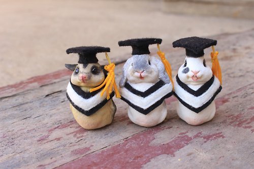 客製化 寵物公仔 婚婚手工讚 畢業寵物公仔擺設‧畢業禮物‧學士服‧兔.蜜袋鼯