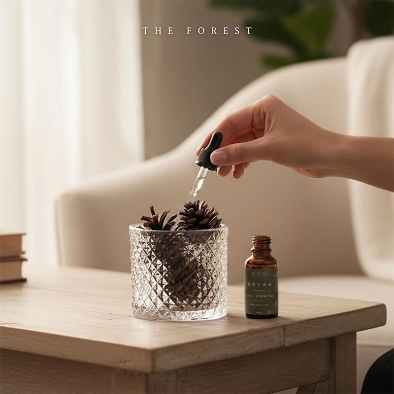 北歐可可松果香氛擴香水晶禮盒(贈送15ml香氛油) - 香氛/精油/擴香 - 植物．花 卡其色