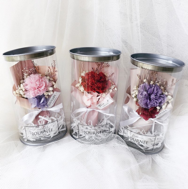 Journee powder / red / purple eternal carnation small flower pot with card dry bouquet mother's day gift - Dried Flowers & Bouquets - Plants & Flowers 