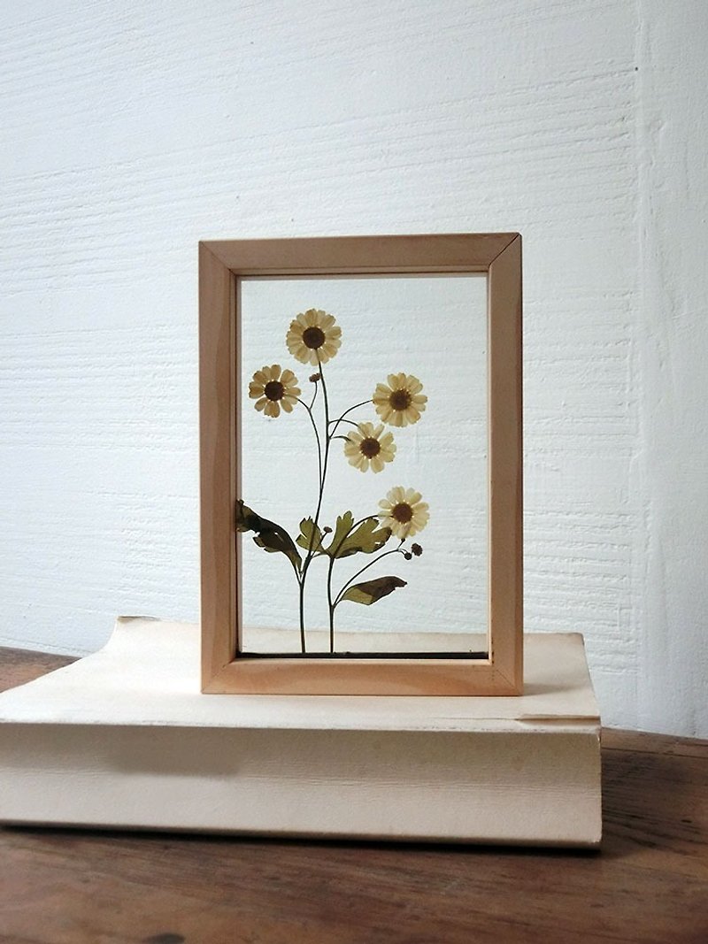 Solid wood flower frame | Creamy yellow chamomile | Plant illustration flower frame - ช่อดอกไม้แห้ง - พืช/ดอกไม้ สีเหลือง