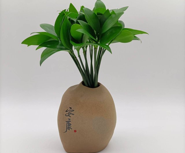 観葉植物、福の木、観葉植物、竹・檜、水生植物、純水植栽、風化