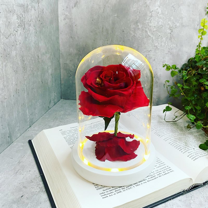 [Eternal Flower Night Lamp] Top-quality Ecuador Everlasting Rose | Glass Cover | Everlasting Flower Lamp | Everlasting Flower Gift Box - Dried Flowers & Bouquets - Plants & Flowers Red