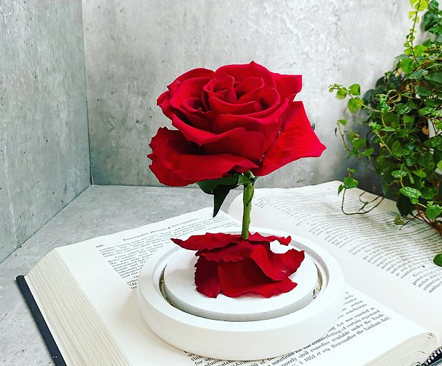 Preserved Real Rose - Single Eternal Rose (Light Red)