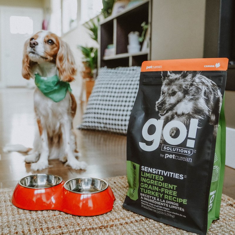 [Dog Staple Food] go! Turkey Whole Dog Hypoallergenic Series Grain-Free Dog Feed Single Meat - Dry/Canned/Fresh Food - Fresh Ingredients 