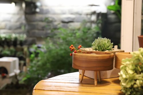 息間 桌面收納 花器 創意擺件 鑰匙零錢首飾 櫸木/黑胡桃木