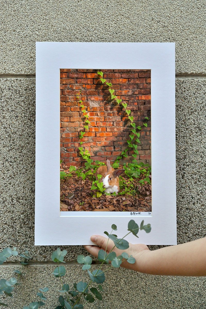 Original limited edition rabbit photography art-Chain of Love - Items for Display - Paper Orange