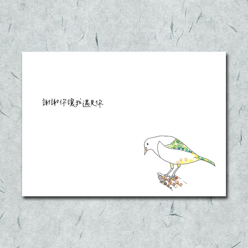 Animal 21/ Circle/ Dove/ Bird/ Hand-painted/Card Postcard