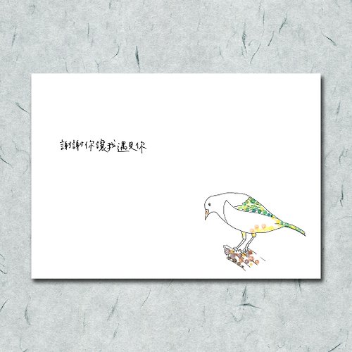 一把蔥 雜燴工作室 動物21/ 圈圈/ 鴿子 /鳥/ 手繪 /卡片 明信片