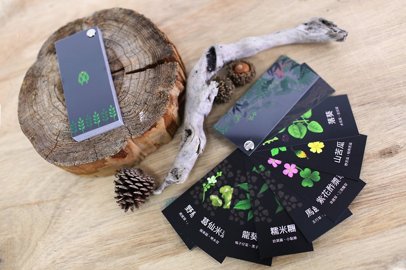 艸Bunsheng Finding Herb Taiwan Wild Vegetable Card Book Waterproof Card Plant Book Collection - การ์ด/โปสการ์ด - วัสดุกันนำ้ 