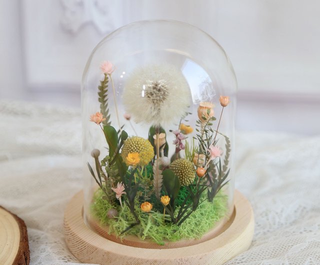 タンポポ ガラスカップ *S22/不滅の花.ドライフラワー