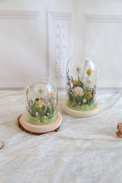 タンポポ ガラスカップ *S22/不滅の花.ドライフラワー