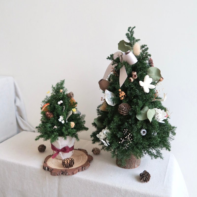 Everlasting Cedar Christmas Tree Taichung Flower Arrangement Experience Handmade Christmas Tree Taichung Christmas Handmade Course - จัดดอกไม้/ต้นไม้ - พืช/ดอกไม้ 