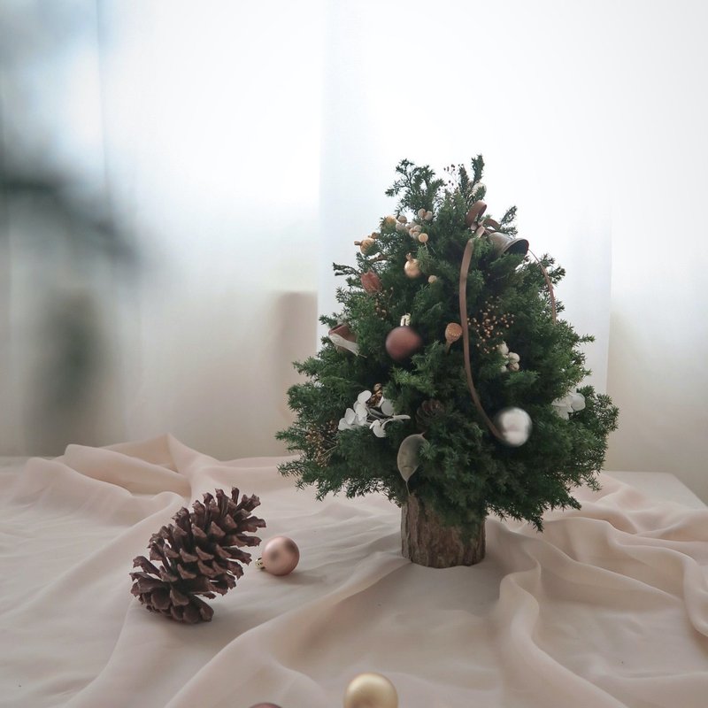 Everlasting Cedar Christmas Tree Christmas Tree Handmade Experience Handmade Christmas Tree Taichung Flower Arrangement Course - Plants & Floral Arrangement - Plants & Flowers 