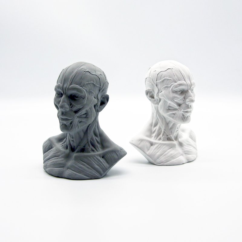 HUMAN muscles Aroma stone I 人體筋肉擴香石 I 手作 I 附精油－ - 香氛/精油/擴香 - 水泥 灰色