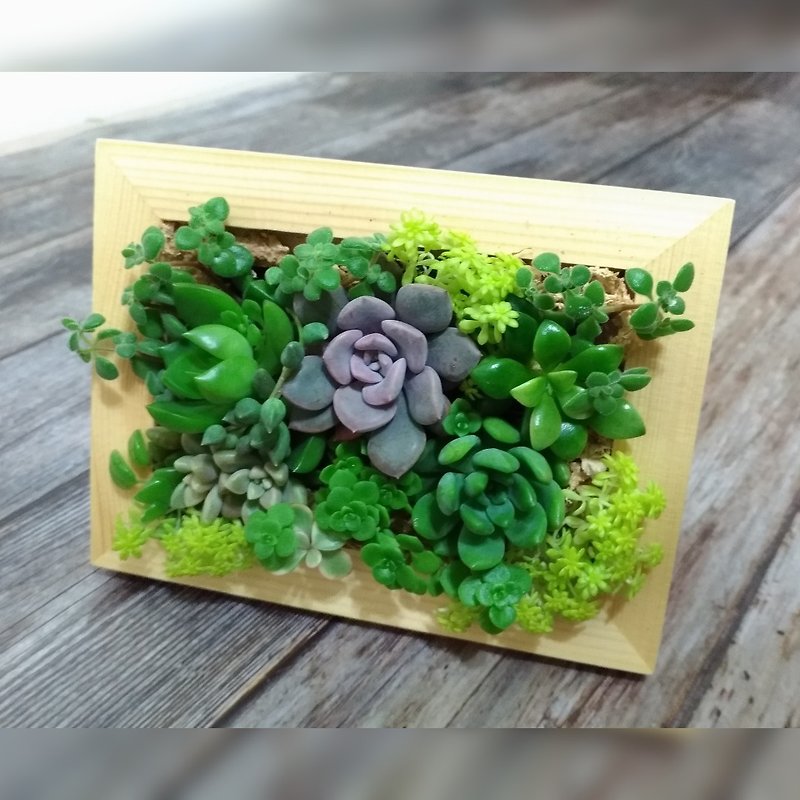 【Potted plant】Scenic succulent photo frame in memory - ตกแต่งต้นไม้ - พืช/ดอกไม้ สีเขียว
