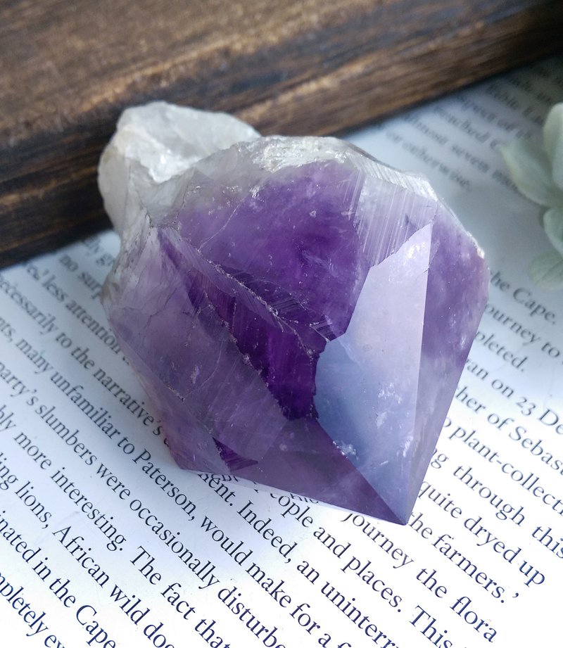 Amethyst 剛果產地 大牙單顆 紫水晶 天然礦石 原礦 - 擺飾/家飾品 - 其他材質 