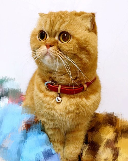 garfield cat collar