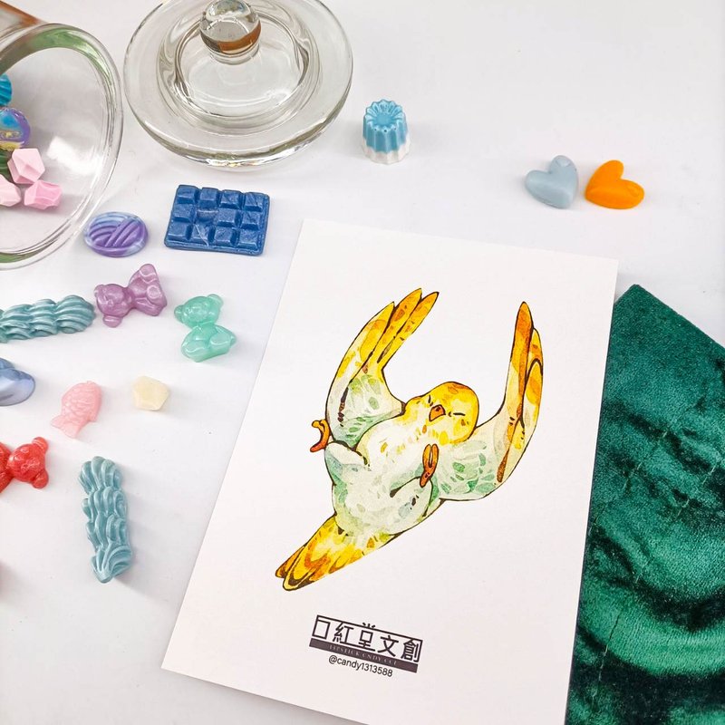 KR474_口紅堂明信片_鸚鵡9_candy1313588 postcard - 卡片/明信片 - 紙 多色