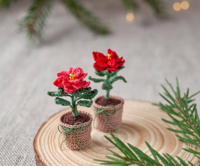 クリスマス観葉植物 ポインセチア ミニチュア鉢植え 花 クリスマス