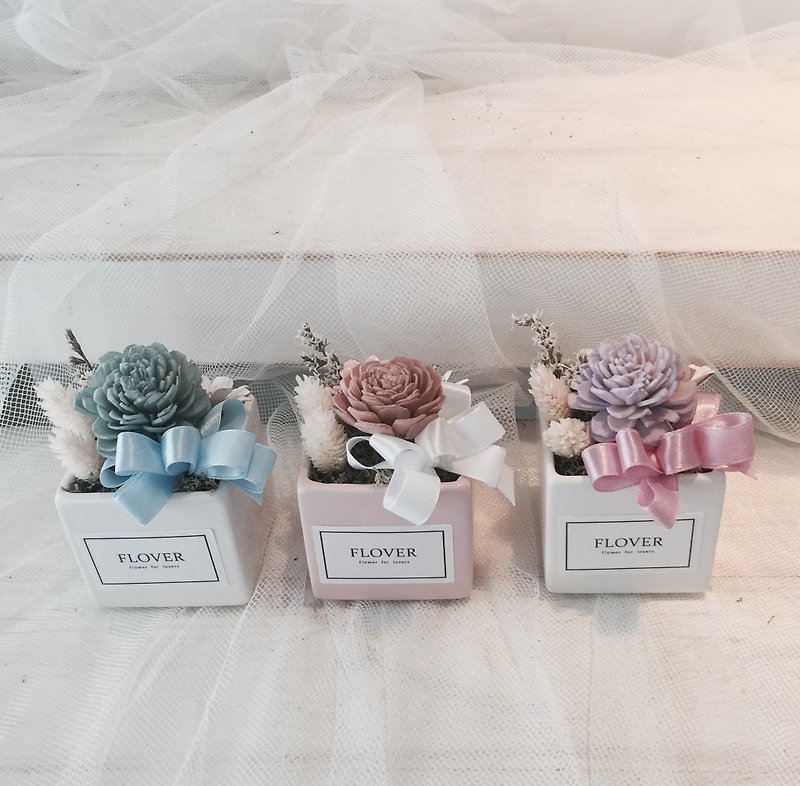 French Fragrance Dry Potted Flower - Blue / Naked / Purple Store - ตกแต่งต้นไม้ - พืช/ดอกไม้ 